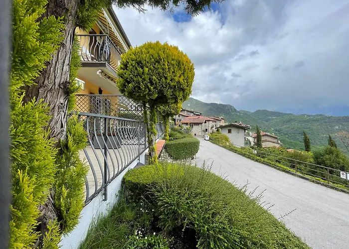 Sole Tremosine